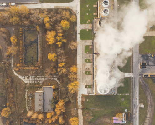 Co2-voetafdruk van hout