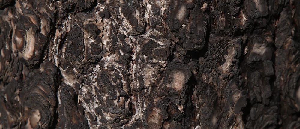 de brandveiligheid van houten gevel