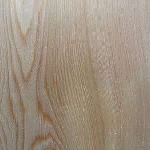 Siberisch Lariks